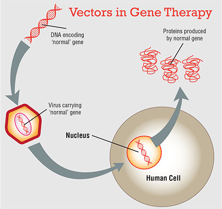 Effects Of Gene Therapy On Children And